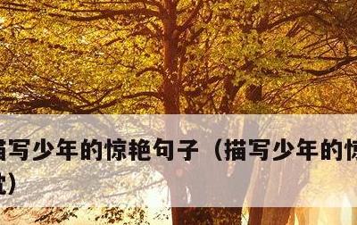 描写少年的惊艳句子，描写少年的惊艳句子原耽