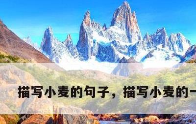 描写小麦的句子，描写小麦的一段话