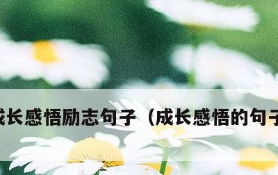 成长感悟励志句子，成长感悟的句子说说心情