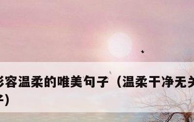 形容温柔的唯美句子，温柔干净无关爱情的句子