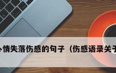 心情失落伤感的句子，伤感语录关于失落心情