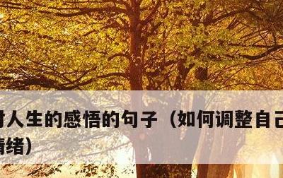 对人生的感悟的句子，如何调整自己的心态和情绪