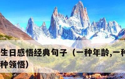 生日感悟经典句子，一种年龄,一种心境,一种领悟