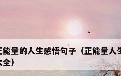 正能量的人生感悟句子，正能量人生感悟句子大全