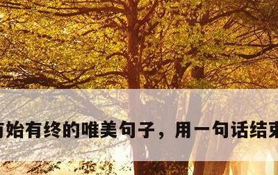 有始有终的唯美句子，用一句话结束一段感情