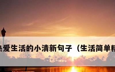 热爱生活的小清新句子，生活简单精致的句子