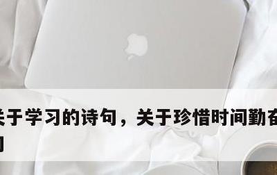 关于学习的诗句，关于珍惜时间勤奋好学的诗句