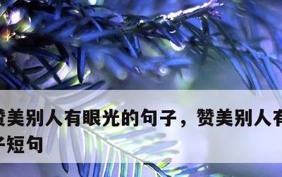 赞美别人有眼光的句子，赞美别人有眼光的句子短句