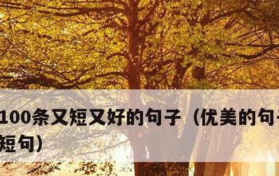 100条又短又好的句子，优美的句子有哪些短句