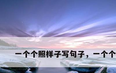 一个个照样子写句子，一个个造句