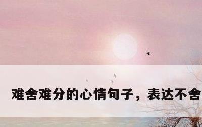 难舍难分的心情句子，表达不舍的句子