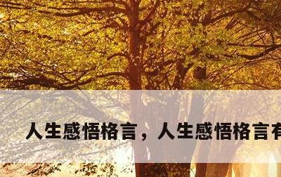 人生感悟格言，人生感悟格言有哪些