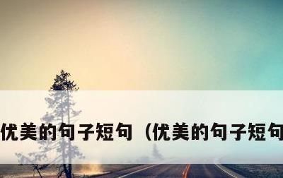 优美的句子短句，优美的句子短句10个字