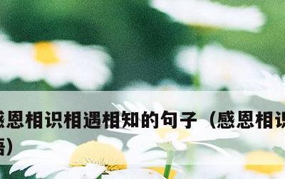 感恩相识相遇相知的句子，感恩相识相知的话语