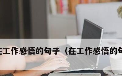 在工作感悟的句子，在工作感悟的句子怎么写