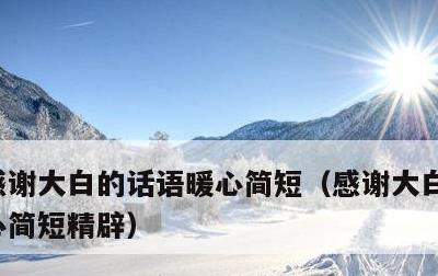 感谢大白的话语暖心简短，感谢大白的话语暖心简短精辟