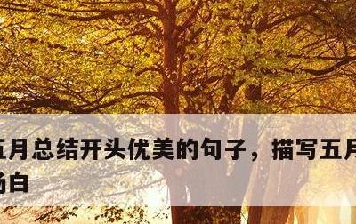 五月总结开头优美的句子，描写五月总结的开场白