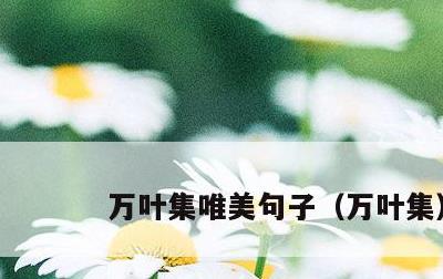 万叶集唯美句子，万叶集
