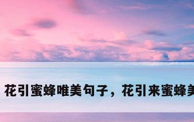 花引蜜蜂唯美句子，花引来蜜蜂美好句子