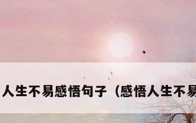 人生不易感悟句子，感悟人生不易的句子