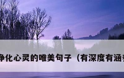 净化心灵的唯美句子，有深度有涵养的句子