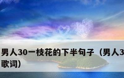 男人30一枝花的下半句子，男人30一枝花歌词