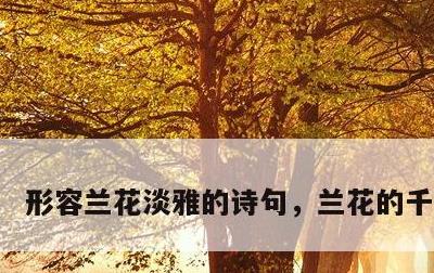 形容兰花淡雅的诗句，兰花的千古名句