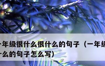 一年级很什么很什么的句子，一年级很什么很什么的句子怎么写