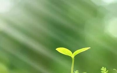 成长的感悟经典句子,感触人生成长的精辟句子