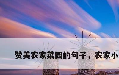 赞美农家菜园的句子，农家小菜园