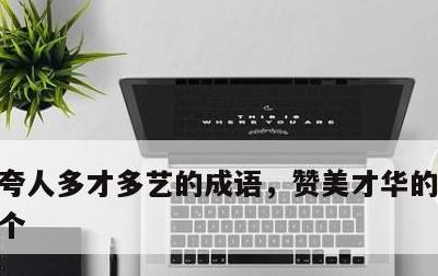 夸人多才多艺的成语，赞美才华的成语100个