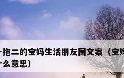 一拖二的宝妈生活朋友圈文案，宝妈一拖二是什么意思