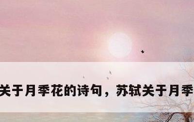 关于月季花的诗句，苏轼关于月季花的诗句