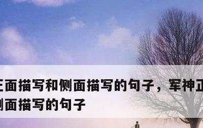 正面描写和侧面描写的句子，军神正面描写和侧面描写的句子