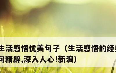 生活感悟优美句子，生活感悟的经典句子,句句精辟,深入人心!新浪