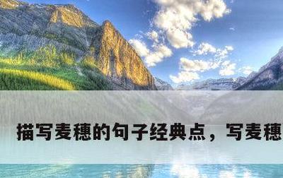 描写麦穗的句子经典点，写麦穗的好段
