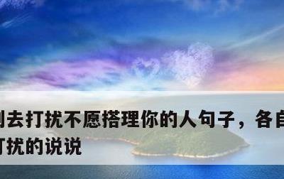 别去打扰不愿搭理你的人句子，各自安好不再打扰的说说