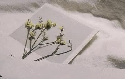 低调成熟点的生日句子,生日文案简洁高级