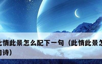 此情此景怎么配下一句，此情此景怎么配下一句诗