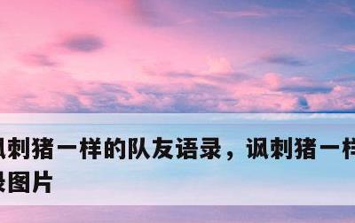 讽刺猪一样的队友语录，讽刺猪一样的队友语录图片