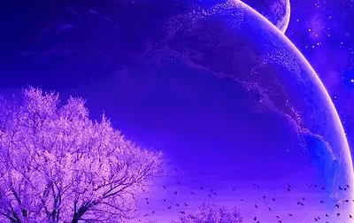 星空的唯美句子