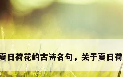夏日荷花的古诗名句，关于夏日荷花的句子