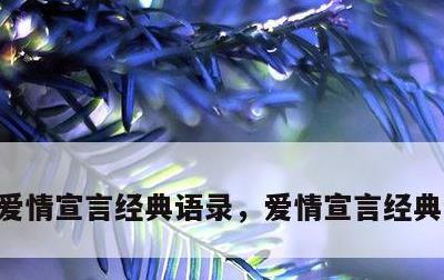 爱情宣言经典语录，爱情宣言经典语录简短