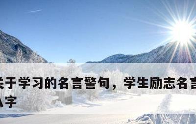 关于学习的名言警句，学生励志名言短句激励八字