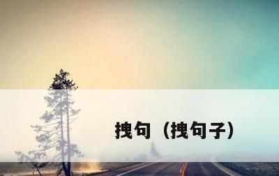 拽句，拽句子
