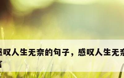 感叹人生无奈的句子，感叹人生无奈的句子名言
