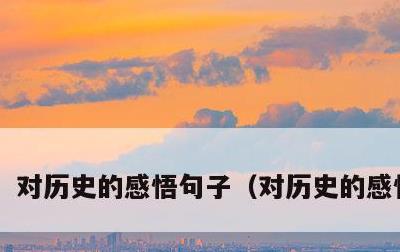 对历史的感悟句子，对历史的感悟作文