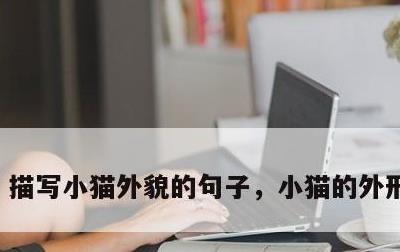 描写小猫外貌的句子，小猫的外形和特点