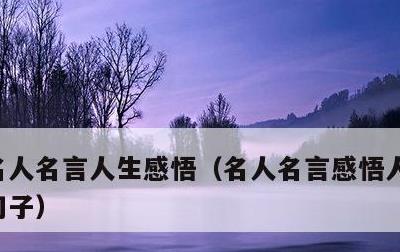 名人名言人生感悟，名人名言感悟人生的哲理句子