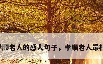 孝顺老人的感人句子，孝顺老人最朴实的句子